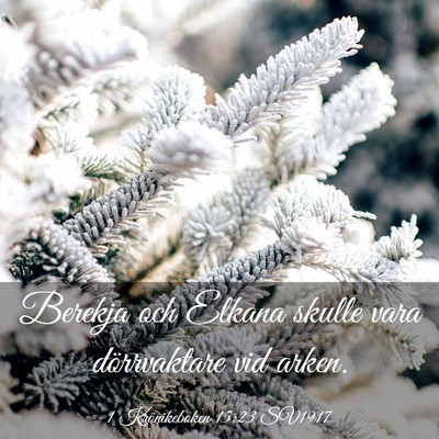 Picture 03 - 1 Krönikeboken 15:23 SV1917 - Berekja och Elkana skulle vara dörrvaktare vid - Bible Verse Picture