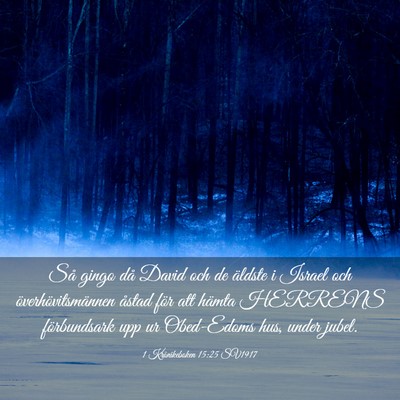 Picture 03 - 1 Krönikeboken 15:25 SV1917 - Så gingo då David och de äldste i Israel och - Bible Verse Picture