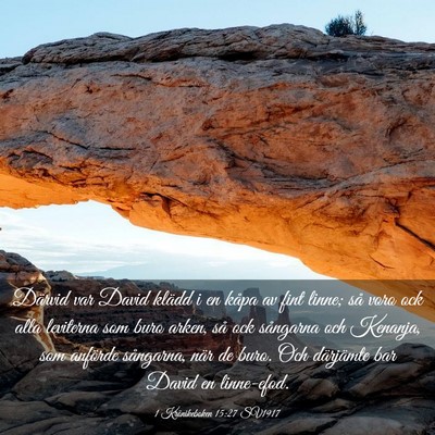 Picture 03 - 1 Krönikeboken 15:27 SV1917 - Därvid var David klädd i en kåpa av fint - Bible Verse Picture
