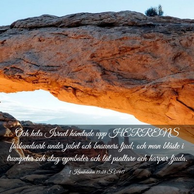 Picture 03 - 1 Krönikeboken 15:28 SV1917 - Och hela Israel hämtade upp HERRENS förbundsark - Bible Verse Picture