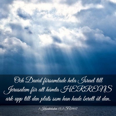 Picture 03 - 1 Krönikeboken 15:3 SV1917 - Och David församlade hela Israel till Jerusalem - Bible Verse Picture