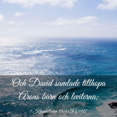 Picture 03 - 1 Krönikeboken 15:4 SV1917 - Och David samlade tillhopa Arons barn och - Bible Verse Picture