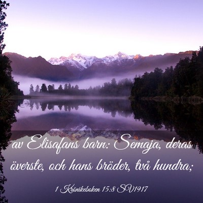 Picture 03 - 1 Krönikeboken 15:8 SV1917 - av Elisafans barn: Semaja, deras överste, och - Bible Verse Picture