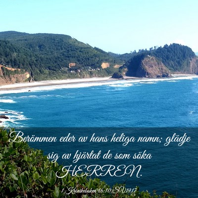 Picture 03 - 1 Krönikeboken 16:10 SV1917 - Berömmen eder av hans heliga namn; glädje sig - Bible Verse Picture