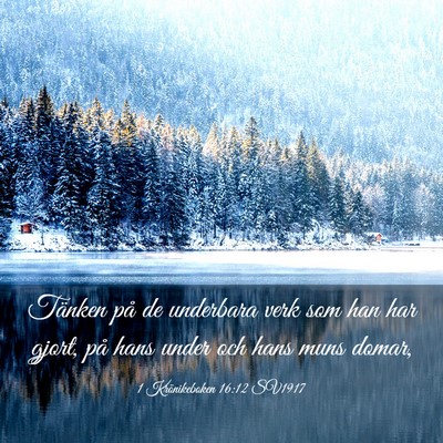 Picture 03 - 1 Krönikeboken 16:12 SV1917 - Tänken på de underbara verk som han har gjort, - Bible Verse Picture