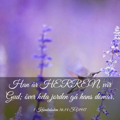 Picture 03 - 1 Krönikeboken 16:14 SV1917 - Han är HERREN, vår Gud; över hela jorden gå - Bible Verse Picture