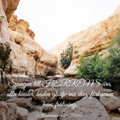 Picture 03 - 1 Krönikeboken 16:23 SV1917 - Sjungen till HERRENS ära, alla länder, båden - Bible Verse Picture
