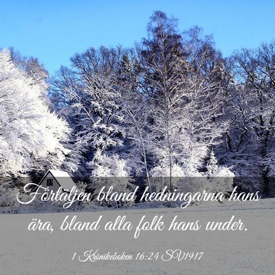 Picture 03 - 1 Krönikeboken 16:24 SV1917 - Förtäljen bland hedningarna hans ära, bland - Bible Verse Picture
