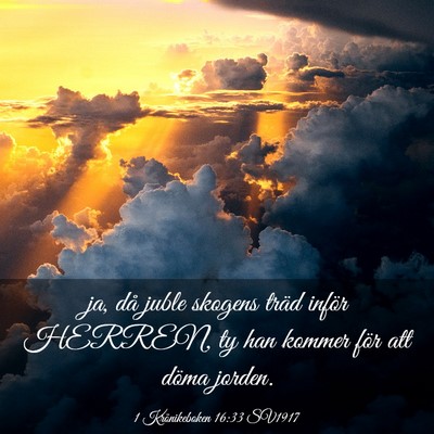 Picture 03 - 1 Krönikeboken 16:33 SV1917 - ja, då juble skogens träd inför HERREN, ty han - Bible Verse Picture