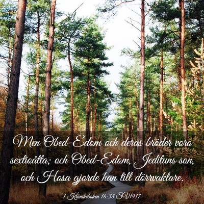 Picture 03 - 1 Krönikeboken 16:38 SV1917 - Men Obed-Edom och deras bröder voro sextioåtta; - Bible Verse Picture