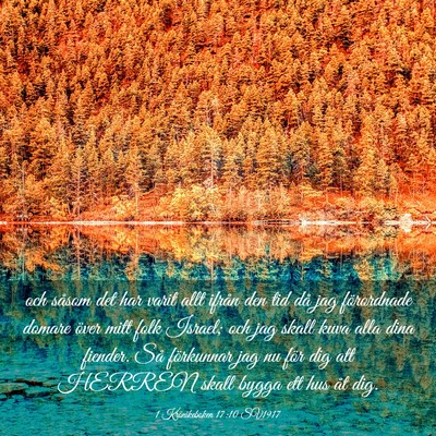Picture 03 - 1 Krönikeboken 17:10 SV1917 - och såsom det har varit allt ifrån den tid då - Bible Verse Picture