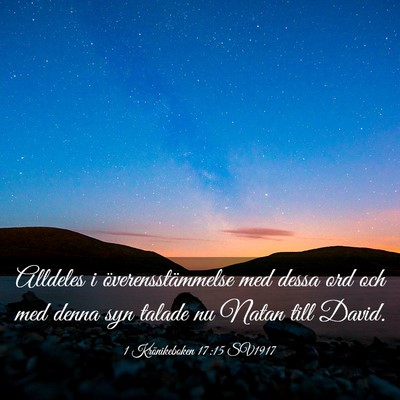 Picture 03 - 1 Krönikeboken 17:15 SV1917 - Alldeles i överensstämmelse med dessa ord och - Bible Verse Picture
