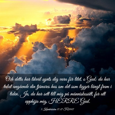 Picture 03 - 1 Krönikeboken 17:17 SV1917 - Och detta har likväl synts dig vara för litet, - Bible Verse Picture