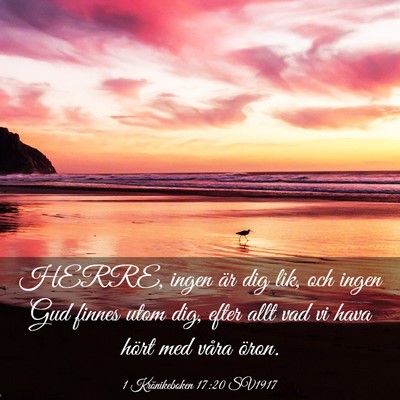 Picture 03 - 1 Krönikeboken 17:20 SV1917 - HERRE, ingen är dig lik, och ingen Gud finnes - Bible Verse Picture