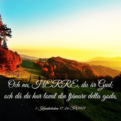 Picture 03 - 1 Krönikeboken 17:26 SV1917 - Och nu, HERRE, du är Gud; och då du har lovat - Bible Verse Picture
