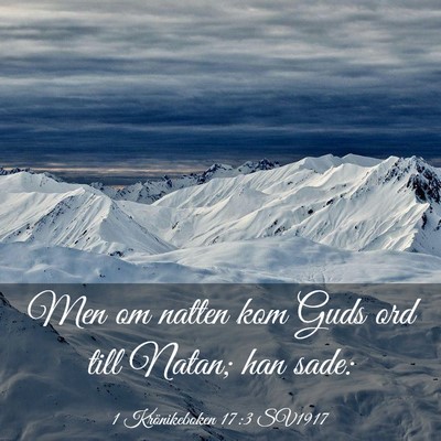 Picture 03 - 1 Krönikeboken 17:3 SV1917 - Men om natten kom Guds ord till Natan; han - Bible Verse Picture