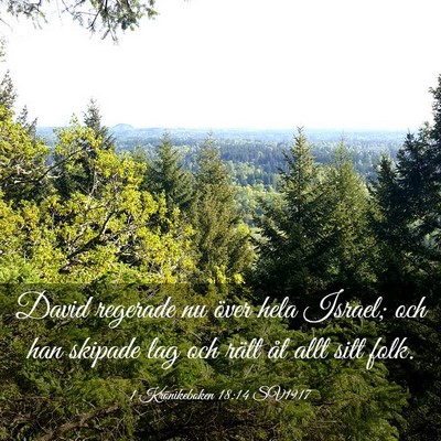 Picture 03 - 1 Krönikeboken 18:14 SV1917 - David regerade nu över hela Israel; och han - Bible Verse Picture