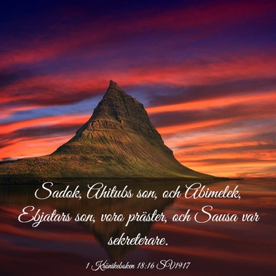 Picture 03 - 1 Krönikeboken 18:16 SV1917 - Sadok, Ahitubs son, och Abimelek, Ebjatars son, - Bible Verse Picture