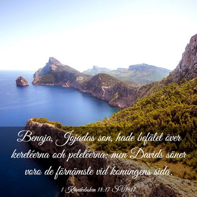 Picture 03 - 1 Krönikeboken 18:17 SV1917 - Benaja, Jojadas son, hade befälet över - Bible Verse Picture