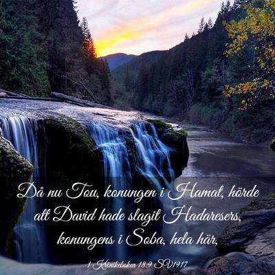 Picture 03 - 1 Krönikeboken 18:9 SV1917 - Då nu Tou, konungen i Hamat, hörde att David - Bible Verse Picture