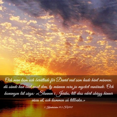 Picture 03 - 1 Krönikeboken 19:5 SV1917 - Och man kom och berättade för David vad som - Bible Verse Picture