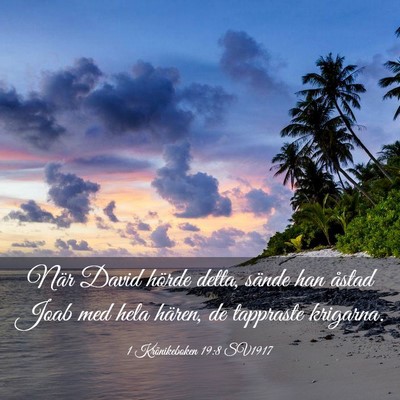 Picture 03 - 1 Krönikeboken 19:8 SV1917 - När David hörde detta, sände han åstad Joab - Bible Verse Picture