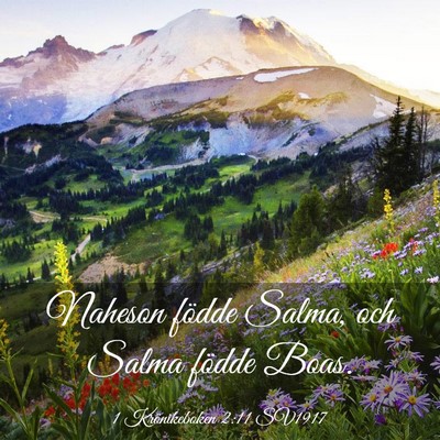 Picture 03 - 1 Krönikeboken 2:11 SV1917 - Naheson födde Salma, och Salma födde - Bible Verse Picture