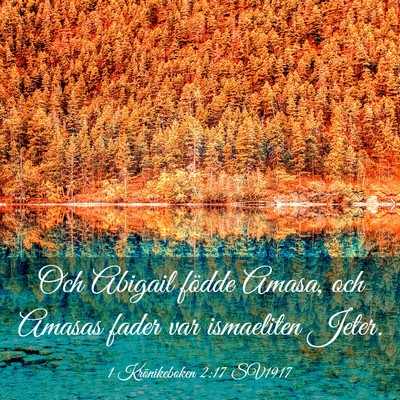 Picture 03 - 1 Krönikeboken 2:17 SV1917 - Och Abigail födde Amasa, och Amasas fader var - Bible Verse Picture