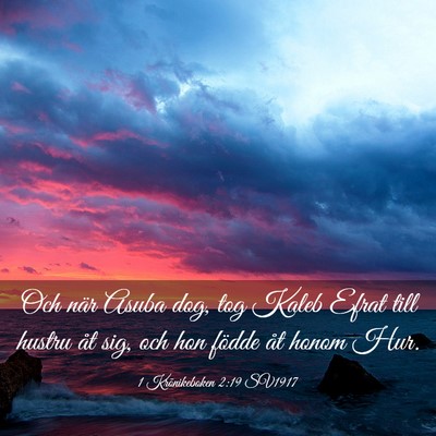 Picture 03 - 1 Krönikeboken 2:19 SV1917 - Och när Asuba dog, tog Kaleb Efrat till hustru - Bible Verse Picture