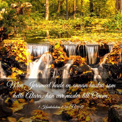 Picture 03 - 1 Krönikeboken 2:26 SV1917 - Men Jerameel hade en annan hustru som hette - Bible Verse Picture