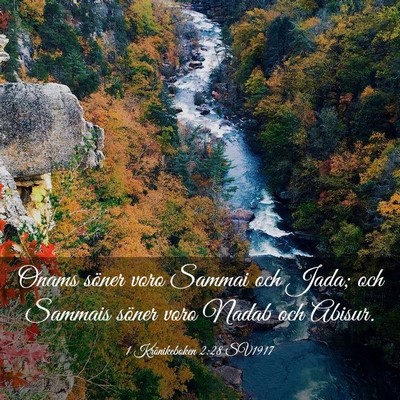 Picture 03 - 1 Krönikeboken 2:28 SV1917 - Onams söner voro Sammai och Jada; och Sammais - Bible Verse Picture