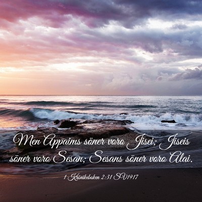 Picture 03 - 1 Krönikeboken 2:31 SV1917 - Men Appaims söner voro Jisei; Jiseis söner voro - Bible Verse Picture