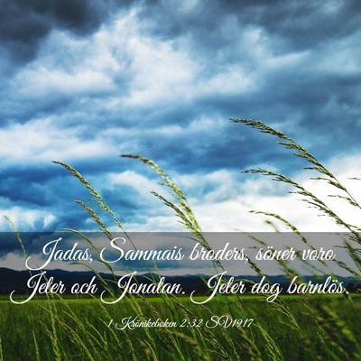 Picture 03 - 1 Krönikeboken 2:32 SV1917 - Jadas, Sammais broders, söner voro Jeter och - Bible Verse Picture