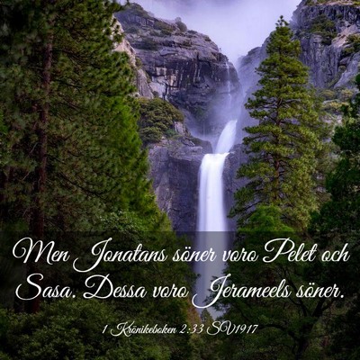 Picture 03 - 1 Krönikeboken 2:33 SV1917 - Men Jonatans söner voro Pelet och Sasa. Dessa - Bible Verse Picture