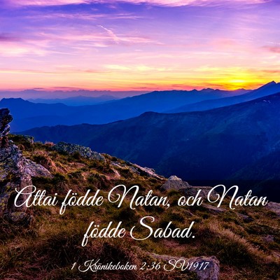 Picture 03 - 1 Krönikeboken 2:36 SV1917 - Attai födde Natan, och Natan födde - Bible Verse Picture