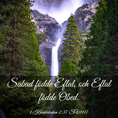 Picture 03 - 1 Krönikeboken 2:37 SV1917 - Sabad födde Eflal, och Eflal födde - Bible Verse Picture
