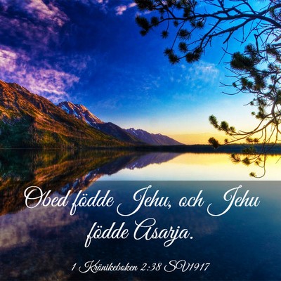 Picture 03 - 1 Krönikeboken 2:38 SV1917 - Obed födde Jehu, och Jehu födde - Bible Verse Picture