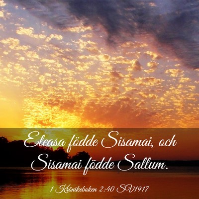 Picture 03 - 1 Krönikeboken 2:40 SV1917 - Eleasa födde Sisamai, och Sisamai födde - Bible Verse Picture