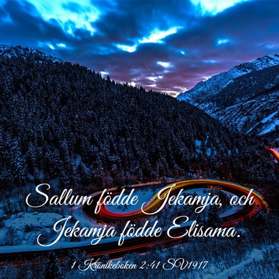 Picture 03 - 1 Krönikeboken 2:41 SV1917 - Sallum födde Jekamja, och Jekamja födde - Bible Verse Picture