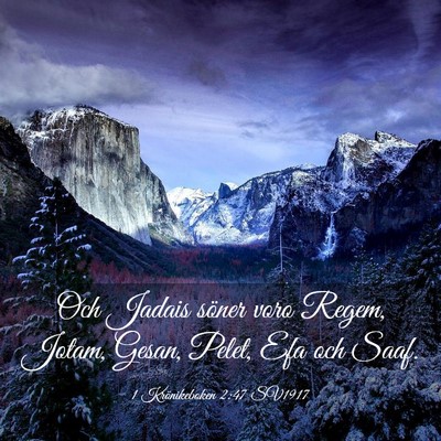 Picture 03 - 1 Krönikeboken 2:47 SV1917 - Och Jadais söner voro Regem, Jotam, Gesan, - Bible Verse Picture