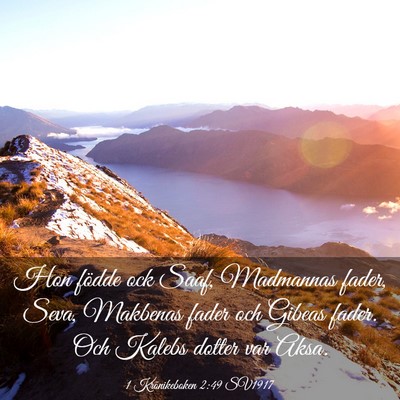 Picture 03 - 1 Krönikeboken 2:49 SV1917 - Hon födde ock Saaf, Madmannas fader, Seva, - Bible Verse Picture