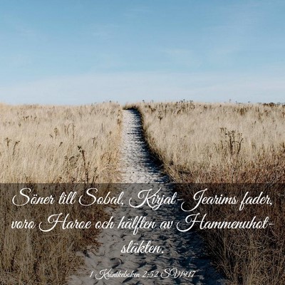 Picture 03 - 1 Krönikeboken 2:52 SV1917 - Söner till Sobal, Kirjat-Jearims fader, voro - Bible Verse Picture