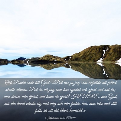 Picture 03 - 1 Krönikeboken 21:17 SV1917 - Och David sade till Gud: »Det var ju jag som - Bible Verse Picture