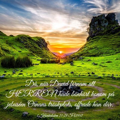Picture 03 - 1 Krönikeboken 21:28 SV1917 - Då, när David förnam att HERREN hade bönhört - Bible Verse Picture