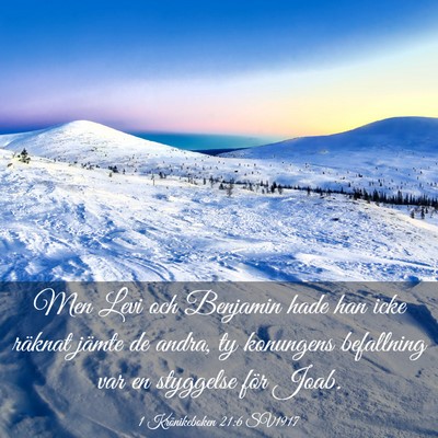 Picture 03 - 1 Krönikeboken 21:6 SV1917 - Men Levi och Benjamin hade han icke räknat - Bible Verse Picture