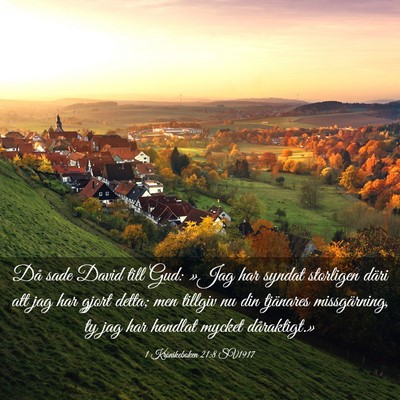 Picture 03 - 1 Krönikeboken 21:8 SV1917 - Då sade David till Gud: »Jag har syndat - Bible Verse Picture