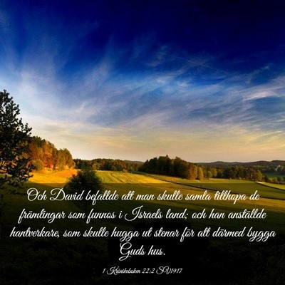 Picture 03 - 1 Krönikeboken 22:2 SV1917 - Och David befallde att man skulle samla tillhopa - Bible Verse Picture