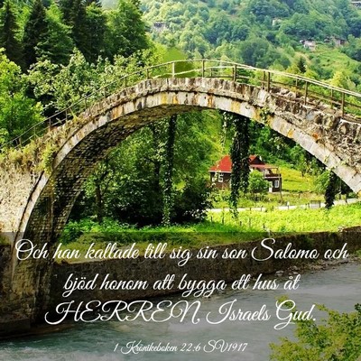 Picture 03 - 1 Krönikeboken 22:6 SV1917 - Och han kallade till sig sin son Salomo och bjöd - Bible Verse Picture