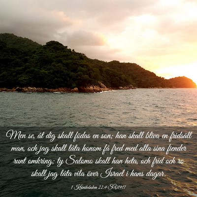 Picture 03 - 1 Krönikeboken 22:9 SV1917 - Men se, åt dig skall födas en son; han skall - Bible Verse Picture