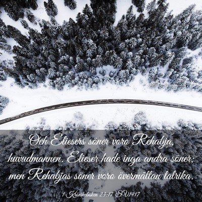 Picture 03 - 1 Krönikeboken 23:17 SV1917 - Och Eliesers söner voro Rehabja, huvudmannen. - Bible Verse Picture